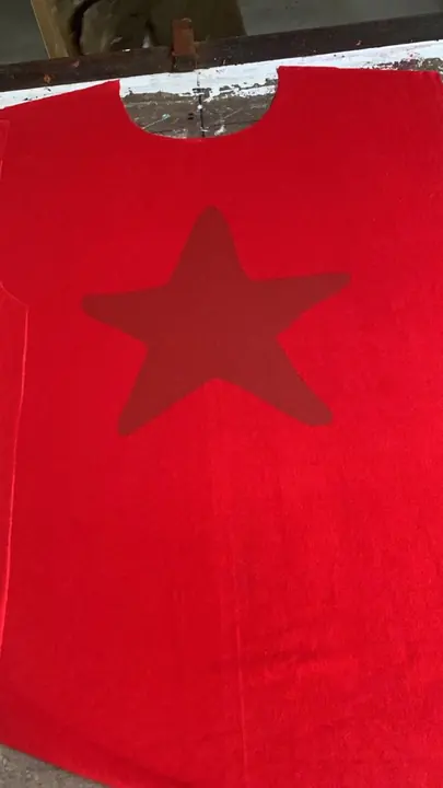 Cut red fabric panel with a printed star graphic, before sewing